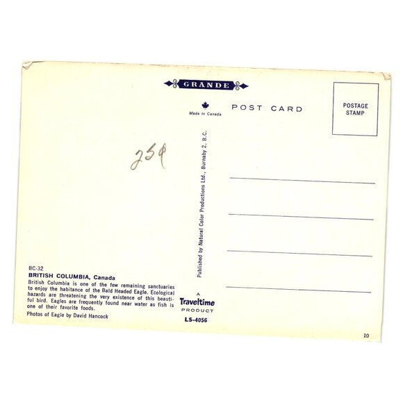 Eagle Country British Columbia Canada Postcard Bald Scenic Landscape Wildlife - Picture 2 of 2